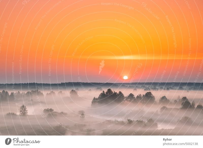 Amazing Sunrise Sunset Over Misty Landscape. Scenic View Of Foggy Morning Sky With Rising Sun Above Misty Forest And River. Early Summer Nature Of Eastern Europe
