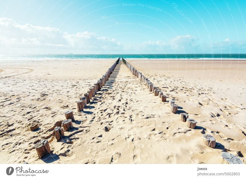 Shallow beach, with light-colored sand and footprints and perspective groynes Beach Bright Sky Blue Sand