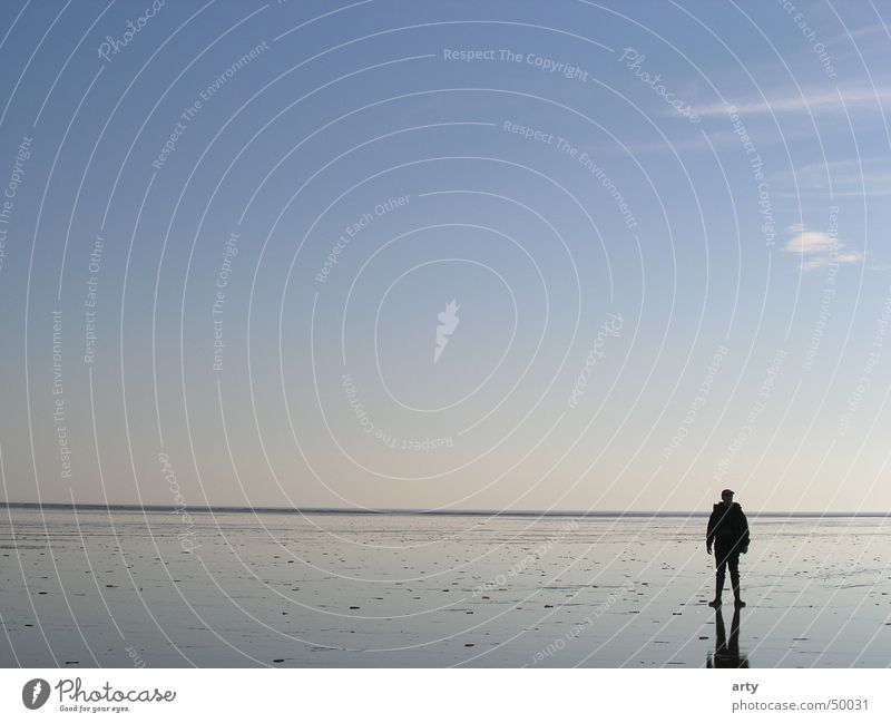 in the watt Horizon Ocean St. Peter-Ording Man Walk along the tideland Relaxation Exterior shot Landscape Mud flats North Sea Far-off places Sky Loneliness