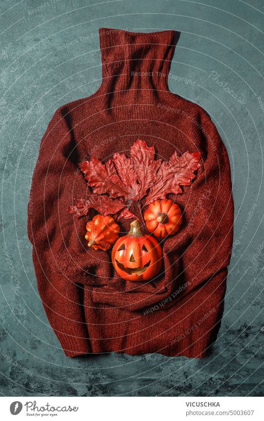 Brown pullover with autumn leaves bunch, pumpkins and jack pumpkinhead. Halloween concept brown halloween decoration orange spooky holiday season scary october