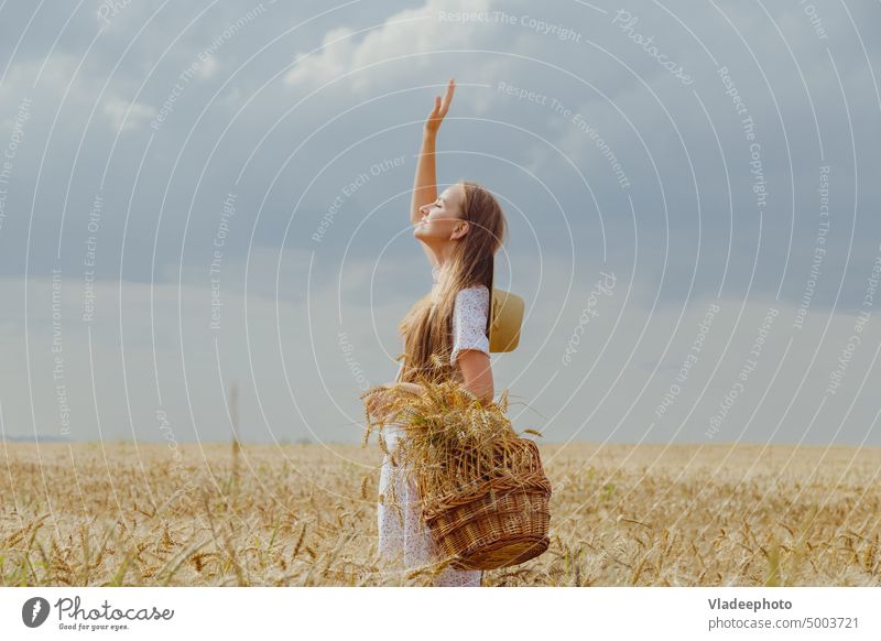 Woman in wheat field welcomes the sun. Freedom and feel good concept. freedom woman rise hand greet female sunrise nature person happy beauty landscape summer