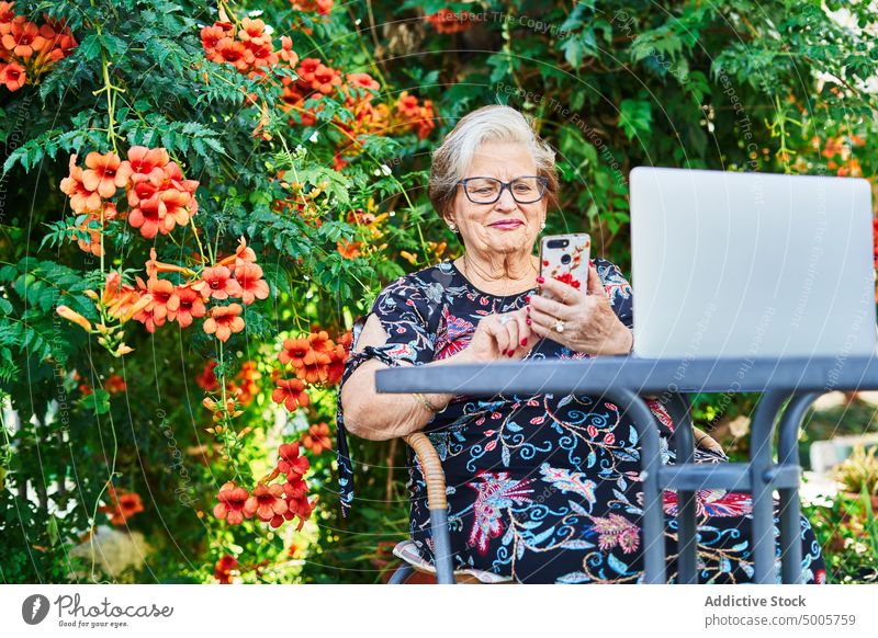 Elderly lady surfing smartphone at garden table with netbook woman backyard chair female aged elderly senior blossom green park mobile modern summer device