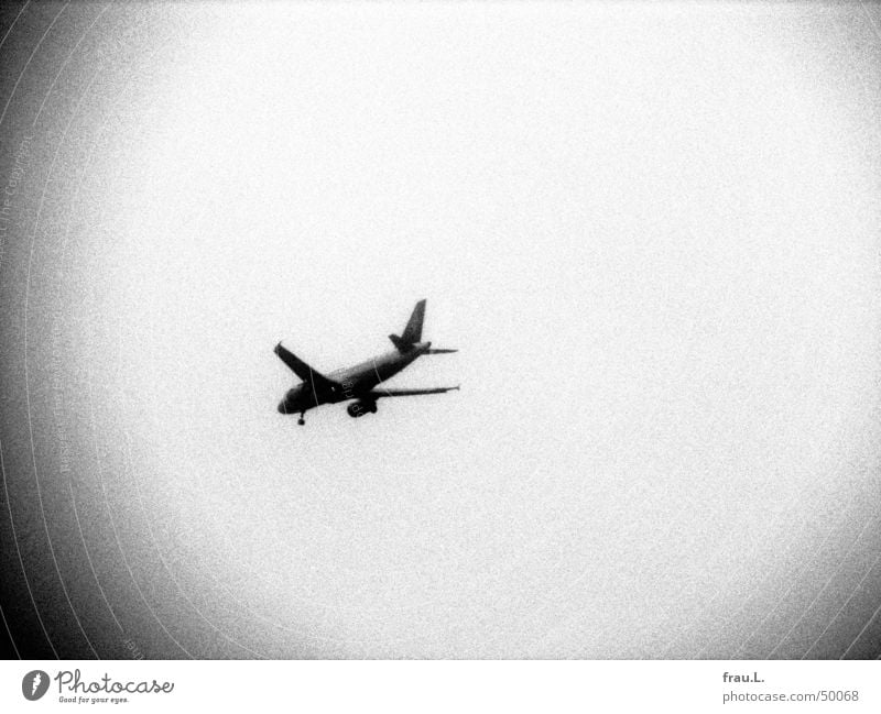 airplane Grainy Gray scale value Fincheswerder Airplane Beginning Holga Aviation Black & white photo Things Sky Reaction Vacation & Travel Logistics