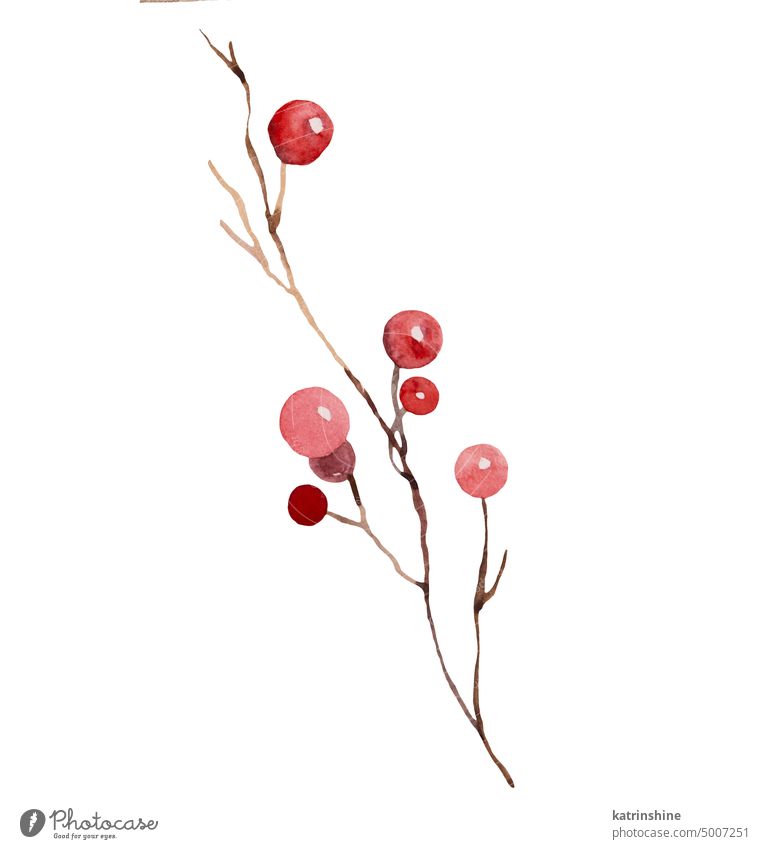 Christmas watercolor twig with red berries isolated Illustration. Hand drawn winter party design Decoration Drawing Element Holiday Isolated Mistletoe Ornament