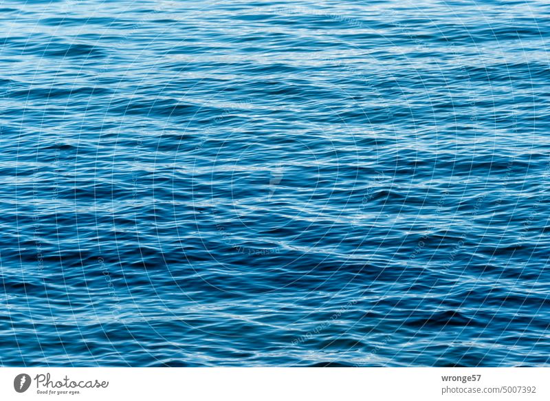 Light swell on the Baltic Sea Swell light swell Ocean Blue Waves Water Wave action Surface of water Exterior shot Colour photo Undulation Watercolor Sea water