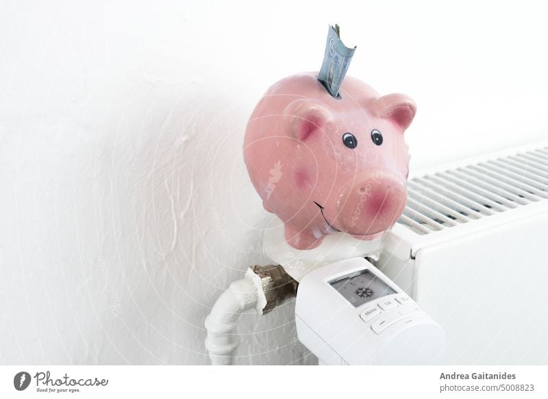 Freezing frozen piggy bank on radiator exposed to save money, horizontal, white background heating Radiator Heating costs saved Freeze Money gas