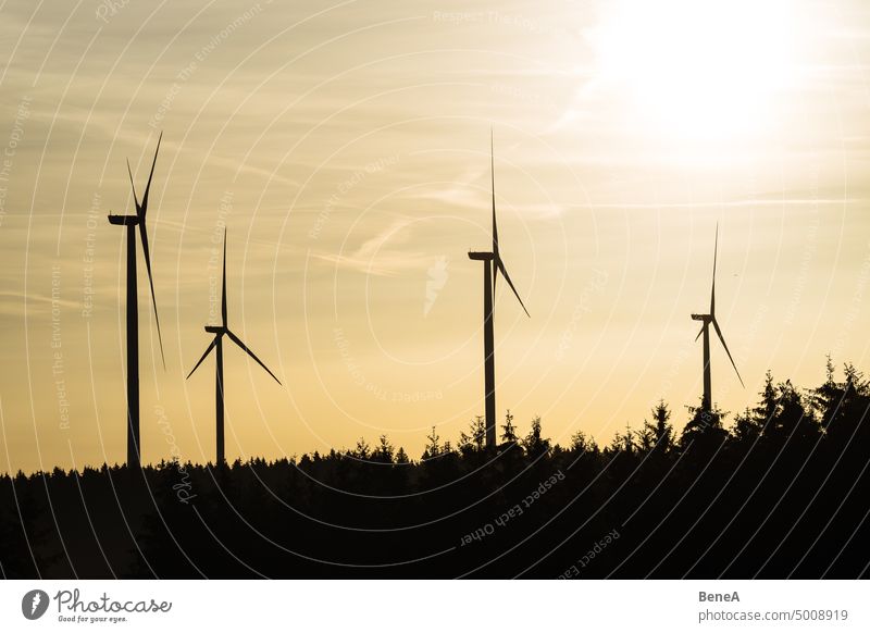 Wind turbines in the sunrise in a forest Aerial Clean Cleantech Converter Country Countryside Electrical Electricity Energy Forest Future Generation Generator