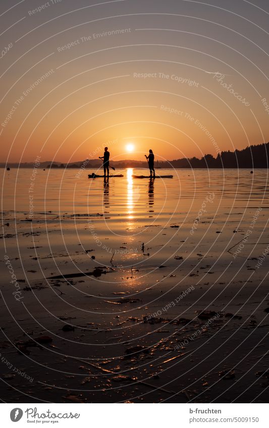 Two stand up paddles on the lake at sunset stand-up paddling Lake Shadow Aquatics SEA Stand up paddle two Exterior shot Sports Leisure and hobbies Lifestyle