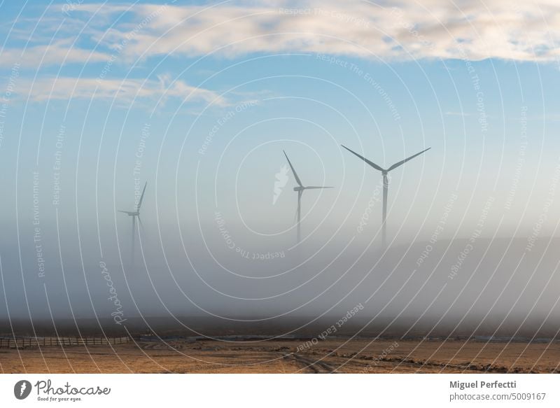 Wind turbines protruding from the morning mist, fog that reveals the ground and the sky, but blurs the base of the windmill. wind turbine generator renewable