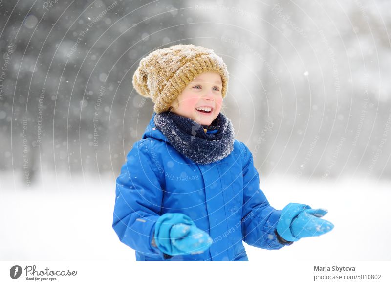 Little boy having fun playing with fresh snow during snowfall. Baby catching snowflakes on gloves. Kid dressed in warm clothes, hat, hand gloves and scarf. Active winter outdoors leisure for child