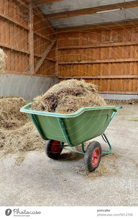 look for the needle in the haystack Hay Wheelbarrow Barn Stable Proverb Needle in a haystack Farm Rural Agriculture Feed Keeping of animals Search search Find