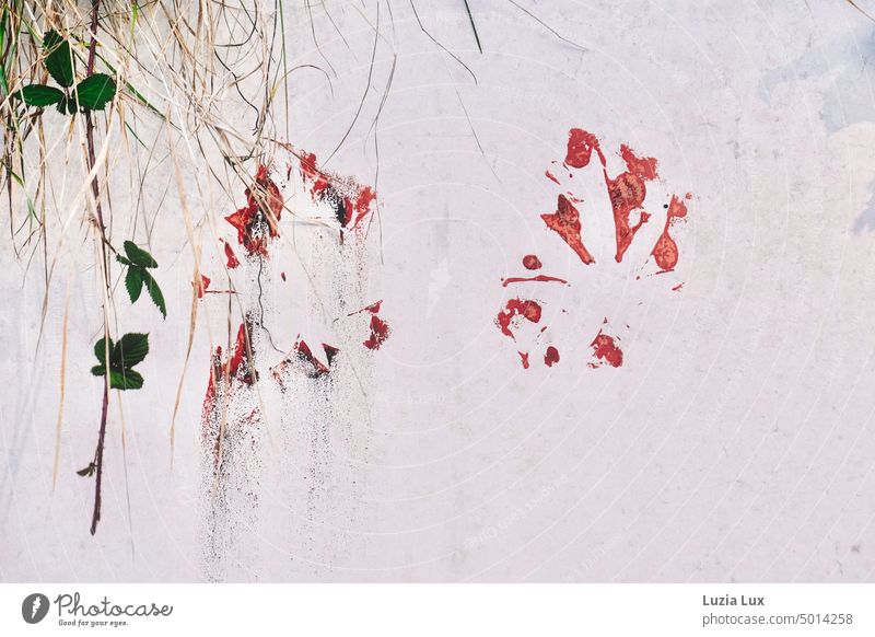 Art on a wall, autumn Autumn Autumnal vine Tendril Green Red splotch of paint Patch of colour stalks Limp Wall (building) Wall (barrier) Facade Overgrown