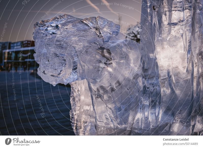 Evening light shines through a melted ice sculpture Block of ice Ice sculpture Transience light reflexes Translucent Cold Blue Winter Frost Frozen Water