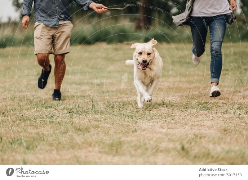 stick man walking dog