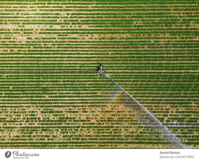 Aerial view by a drone of a field being irrigated by powerful irrigation system. agricultural agriculture background botanical canal compost crop design