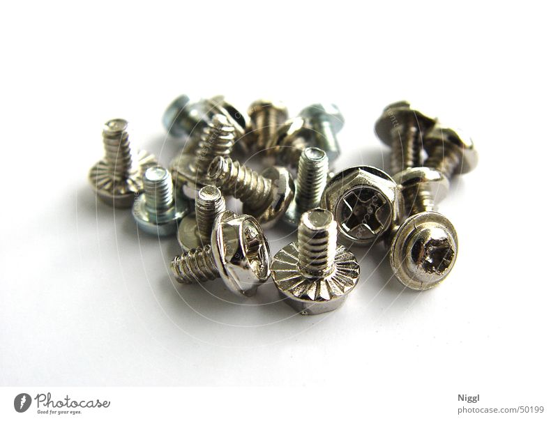 a herd of screws Screw Craft (trade) Metal Screw thread Macro (Extreme close-up) niggl