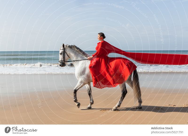 Elegant woman riding gray stallion on sea shore ride elegant style feminine equine animal coast dress red mare horse bridle rein walk chordate mammal grace