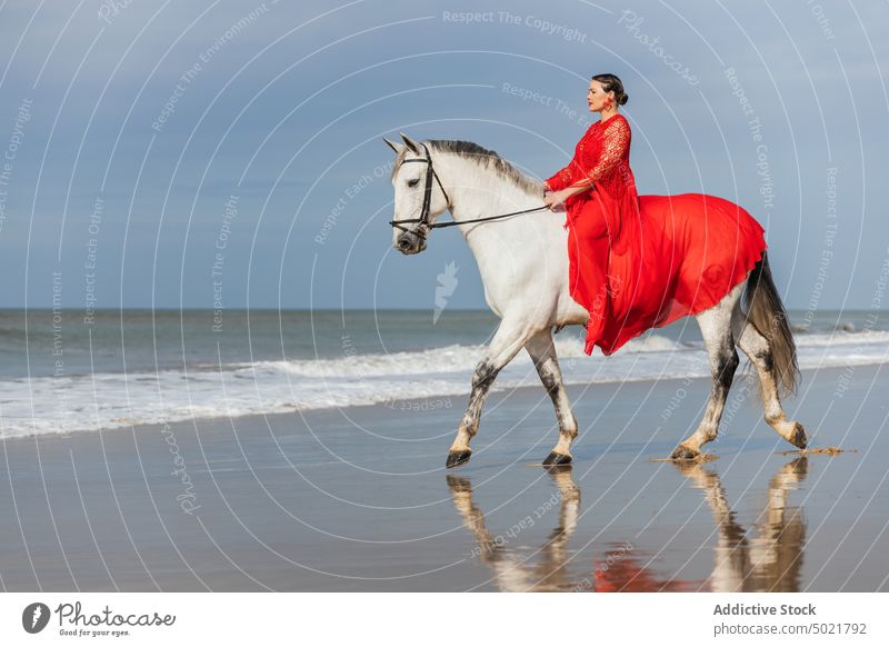 Elegant woman riding gray stallion on sea shore ride elegant style feminine equine animal coast dress red mare horse bridle rein walk chordate mammal grace