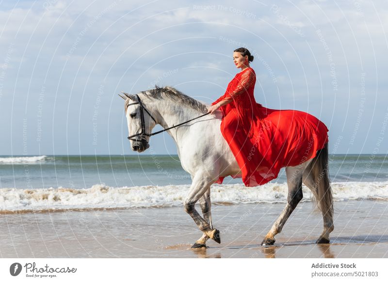 Elegant woman riding gray stallion on sea shore ride elegant style feminine equine animal coast dress red mare horse bridle rein walk chordate mammal grace