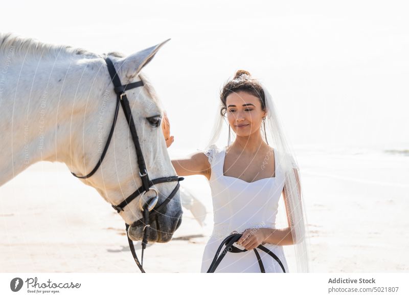 Smiling bride with horse walking on sea beach white dress smile animal equine lead celebrate wedding seashore woman cheerful content pretty veil barefoot