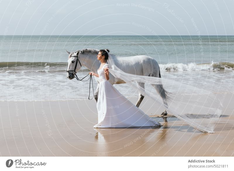 Calm bride with horse walking on sea beach white dress animal equine lead celebrate wedding seashore woman pretty veil barefoot elegant style festive bridal