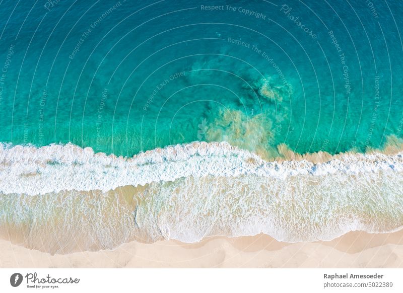 High angle view on wave of atlantic ocean at Santa Monica Beach aerial africa aquatic background beach blue boa vista cape verde clear coast coastal coastline