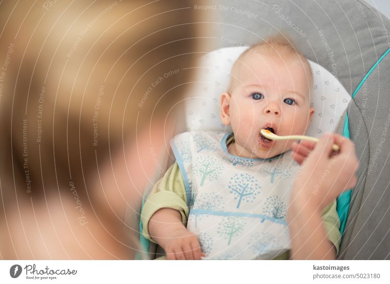 Mother spoon feeding her baby boy infant child in baby chair with fruit puree. Baby solid food introduction concept. healthy nutrition eating cute hungry dinner