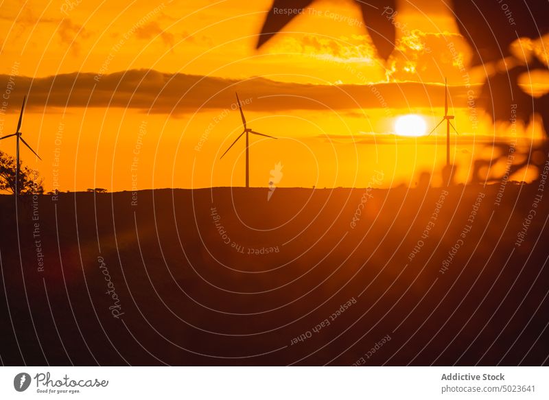 Wind farm landscape at sunset under clouds windmills turbine electricity generator technology nature sky industry environment wind turbine horizontal no people