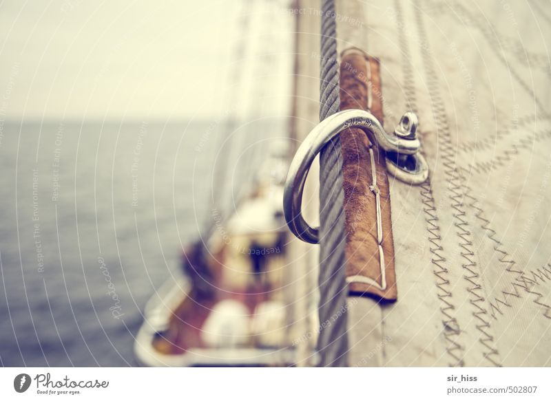 silk Sailing Baltic Sea Navigation Cruise Boating trip Passenger ship Sailing ship On board Tug-of-war Joy Power Romance Schooner smarter Rope shackle Ocean