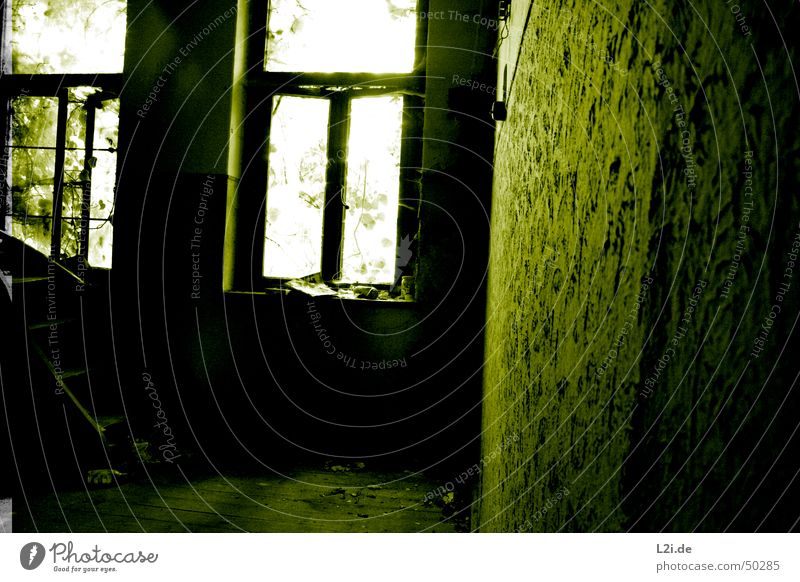 Green Room VII Black White Light Window Dark Creepy Wall (building) House (Residential Structure) Floor covering Newspaper Leaf Tree Destruction Old Contrast