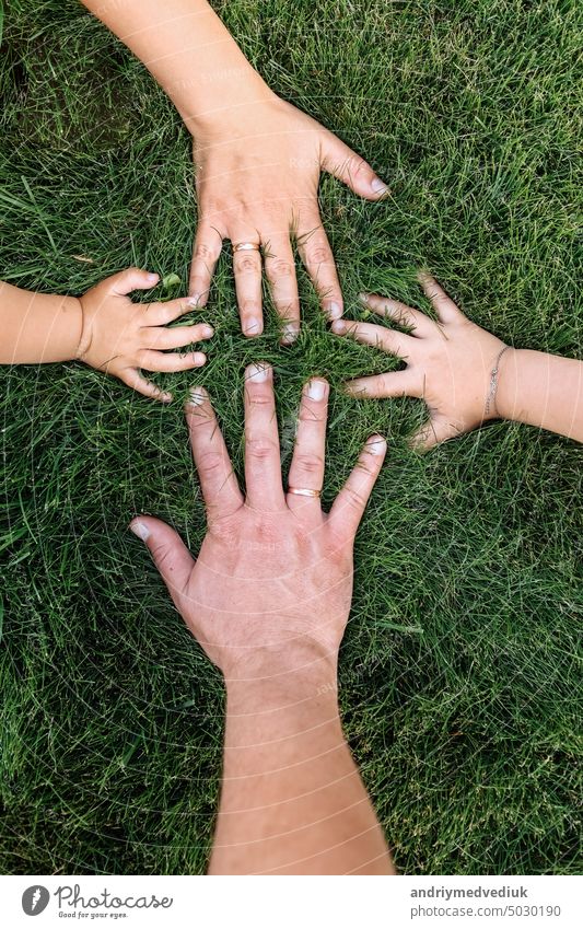 mothers, fathers and childs hands on green grass. happy family, childhood concept. Day of mother, father, child. Family spending time together in nature. Summer vacation concept.