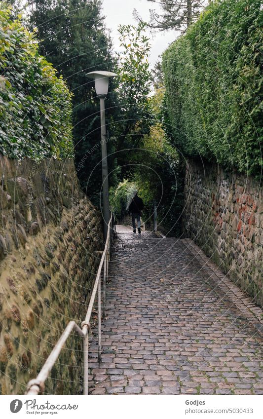 Person walking along a paved and overgrown path in the stair quarter Blankenese, Hamburg, Germany person Corridor Lanes & trails Exterior shot Nature Trip