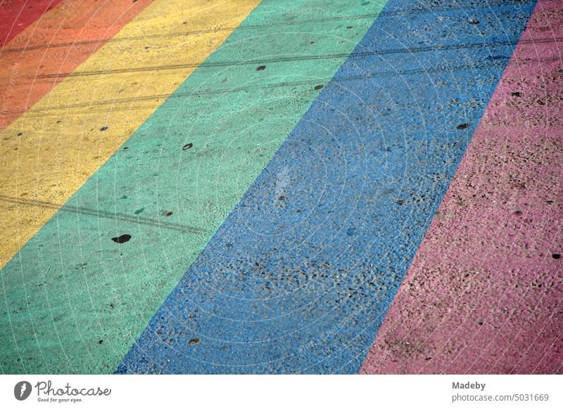 Crosswalk in the colors of the rainbow flag in the sunshine in the old town of Maastricht in the province of Limburg in Holland in the Netherlands Street