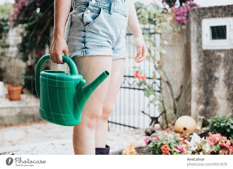 Close up image of a woman watering home garden during a sunny day, enviroment and activities concept suburban unrecognizable ornamental shower pouring authentic