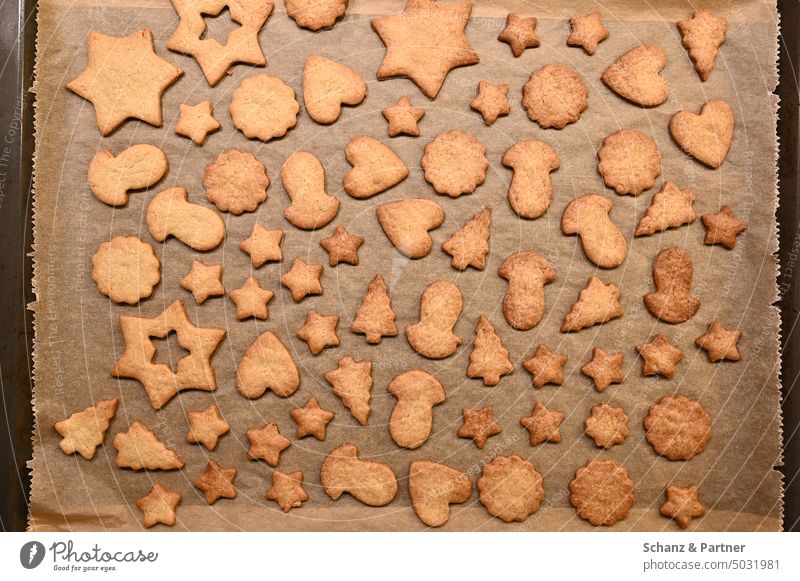 baked Christmas cookies on baking tray biscuits Cookie Christmas tree Baking Christmas biscuit Christmas & Advent cut out cookies dough baking paper cute