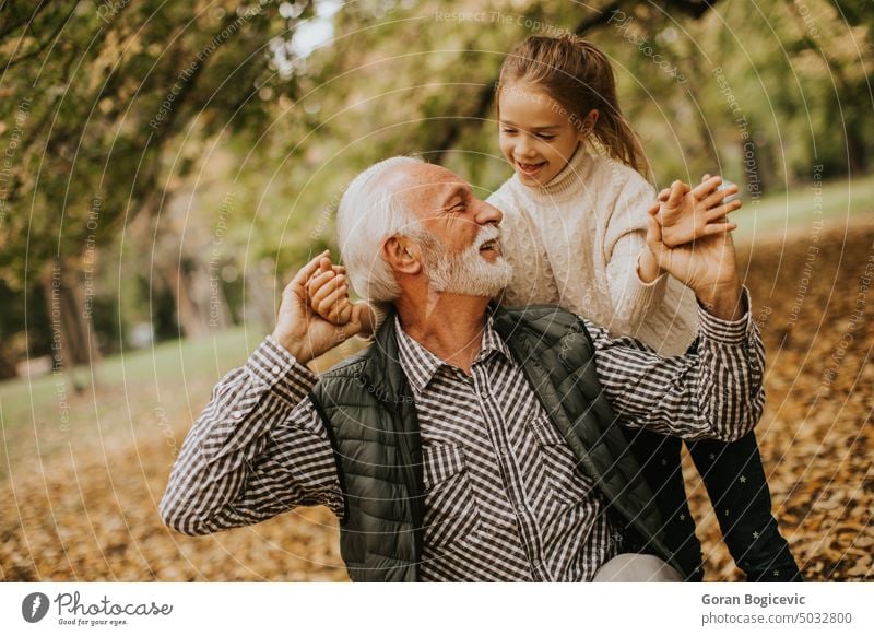 Grandfather spending time with his granddaughter in park on autumn day togetherness nature people fun child small two people happy season grandfather man