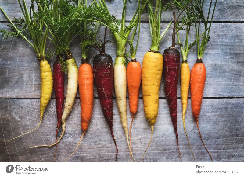 Colored carrots on wooden table, rainbow carrots in a row, overhead flat lay colors yellow white purple orange variety diverse multicolored harvest fresh