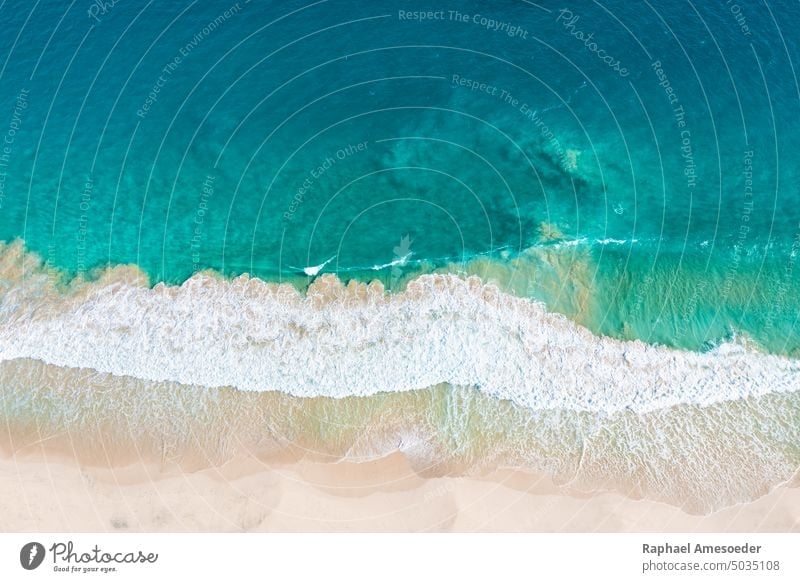 High angle view of the wave of the Atlantic Ocean on Santa Monica Beach Antenna Africa Aquatic background Blue Boa Vista Cape Verde Clear coast coastal strip