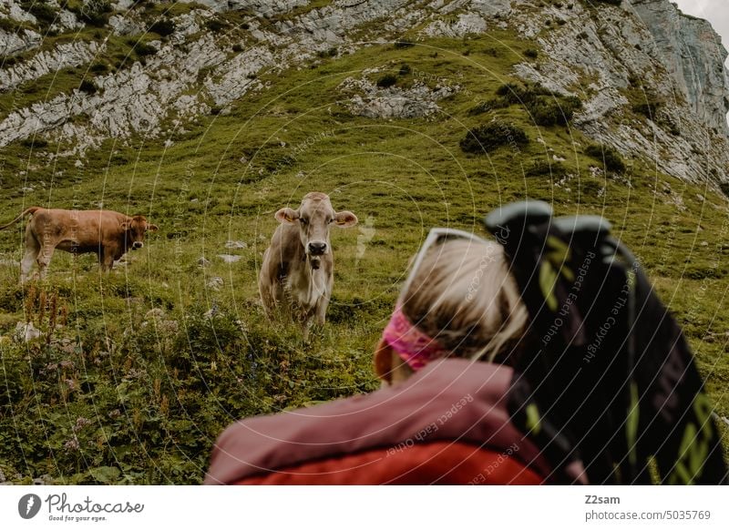 Cow encounter at the Alpstein lake | Appenzellerland hüttntour Switzerland Hiking Mountain Vacation & Travel Landscape Environment reflection Nature Water