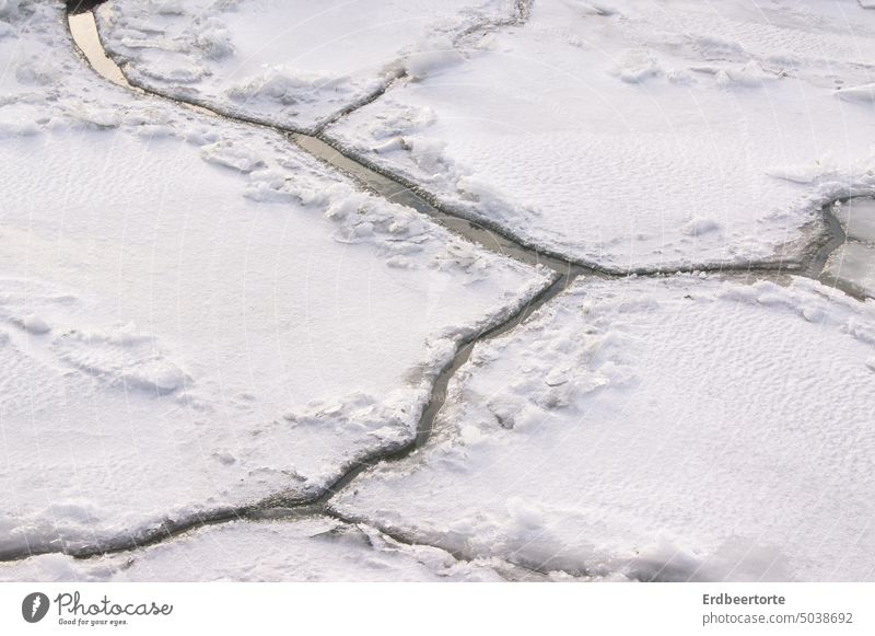 ice floes Winter Exterior shot Seasons White Snow Cold Frost Frozen Ice Ice floe Lake Climate change Snow melt Water Environment River Freeze