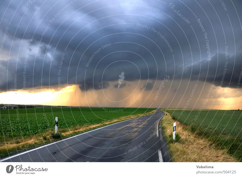 Country road during thunderstorms Landscape Clouds Storm clouds Weather Bad weather Thunder and lightning Field Transport Traffic infrastructure Road traffic