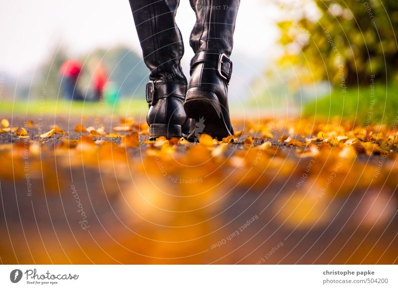 autumn walk Relaxation To go for a walk Feminine 1 Human being Autumn Leaf Park Leather Boots Going Leisure and hobbies Joie de vivre (Vitality) Autumn leaves