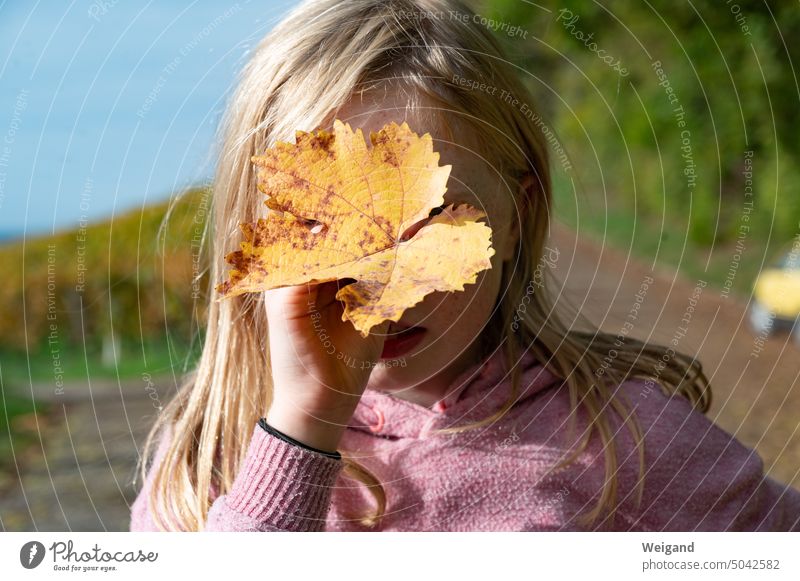 Girl with yellow autumn leaf in front of face Autumn Leaf Yellow Nature vineyards Child vines