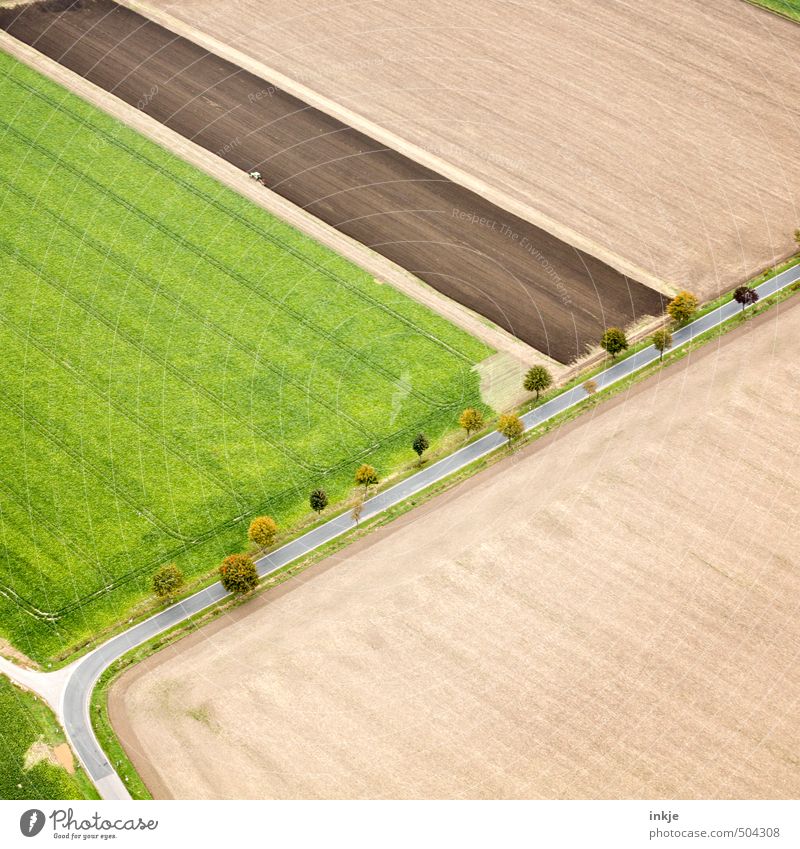 working top left Agriculture Forestry Environment Landscape Earth Summer Autumn Tree Field Outskirts Deserted Transport Traffic infrastructure Street