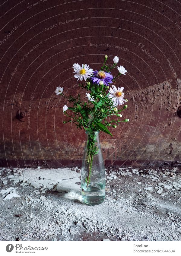 In front of a rusted metal plate on a dirty floor is a small vase of flowers with a bouquet of fresh asters. lost places Old Decline Transience Broken Derelict