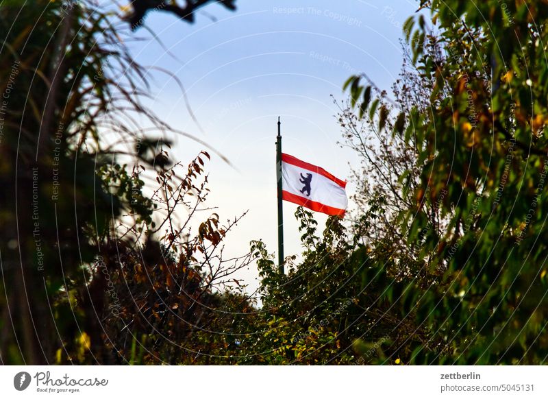 Berlin local patriotism Branch Tree Relaxation holidays Garden Hedge Autumn Autumn leaves Sky allotment Garden allotments Foliage colouring Deserted