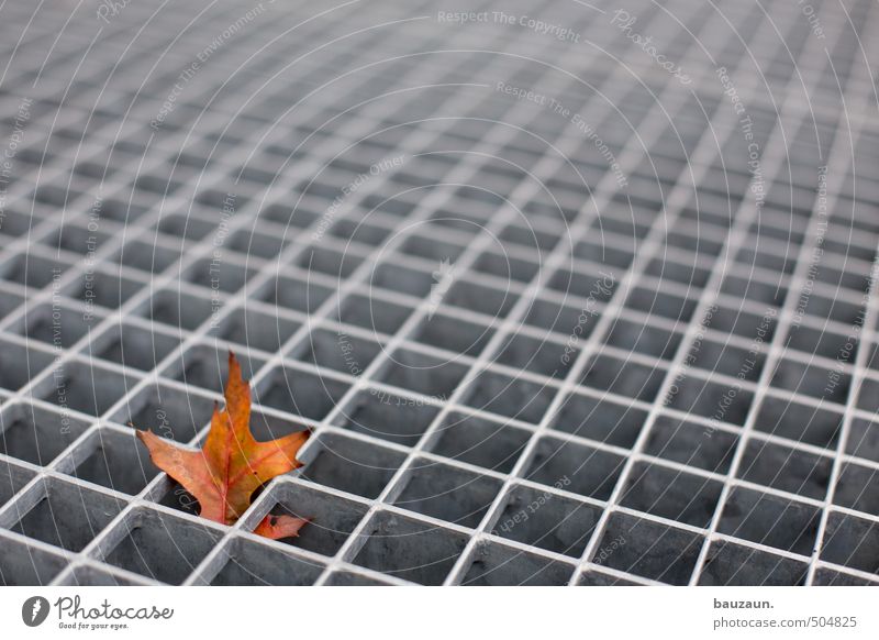 I'm stuck. Autumn Leaf Garden Doormat Metal grid Line To fall Dry Brown Gray Frustration Embitterment Colour photo Subdued colour Exterior shot Deserted