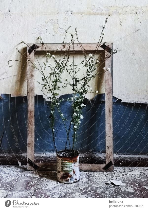 Street art - flowers/plants at in lost place lost places Old Decline Transience Broken Derelict Change Ravages of time Apocalyptic sentiment Ruin Architecture