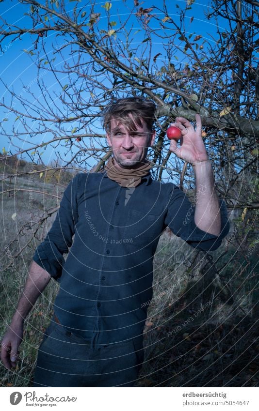 Mouth robbery? Man harvests last apple from tree and holds it up proudly Apple Apple tree Tree Nature Autumn Seasons Pride Find Pick mouth-robbing Harvest