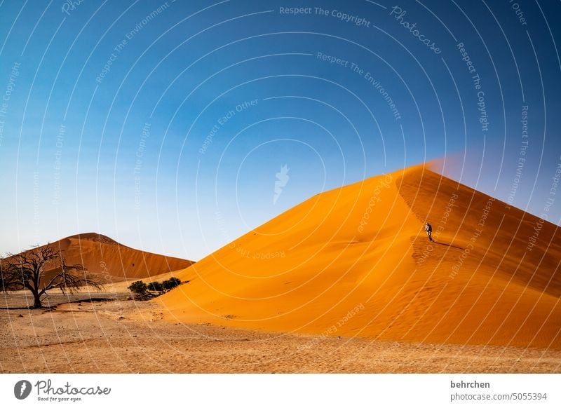 heartland namibia Desert Africa Namibia Far-off places Sossusvlei Sandstorm Dune 45 Sesriem Wanderlust Warmth